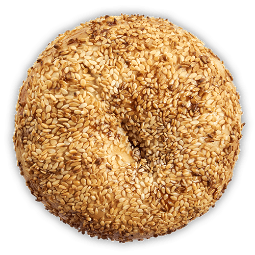 Miso Sesame -- Today's Bagel of the Day