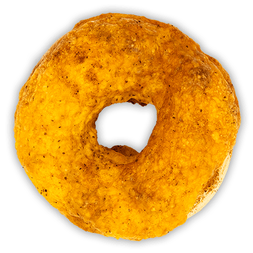 Old Bay & Cheddar -- Today's Bagel of the Day