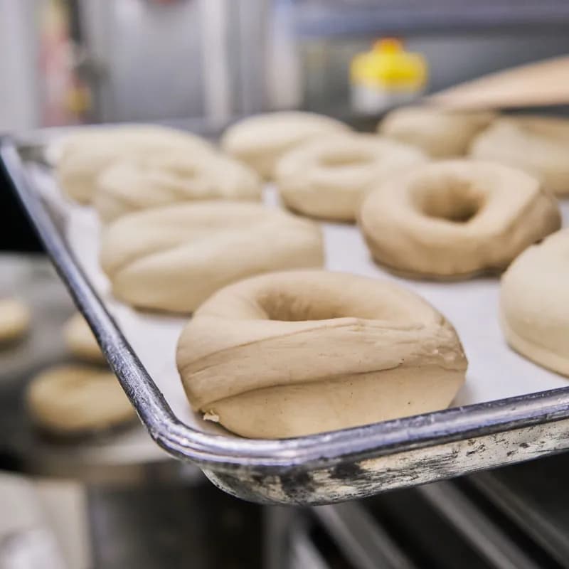 bagels being proofed over-night